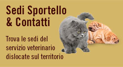 Sedi sportello e contatti