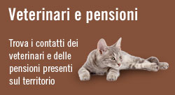 veterinari e pensioni