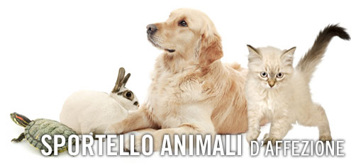 Quali sono gli animali domestici