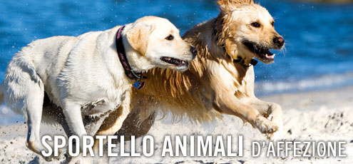 Animali in viaggio Animali in viaggio