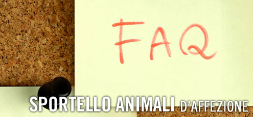 Domande frequenti Domande frequenti