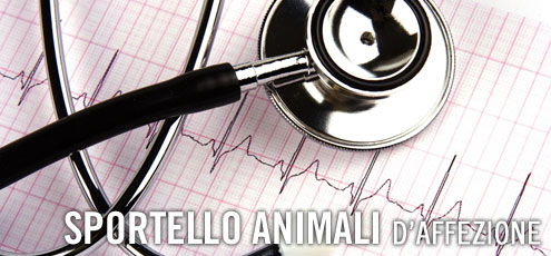 Zoonosi: malattie trasmissibili da animale a uomo Zoonosi: malattie trasmissibili da animale a uomo