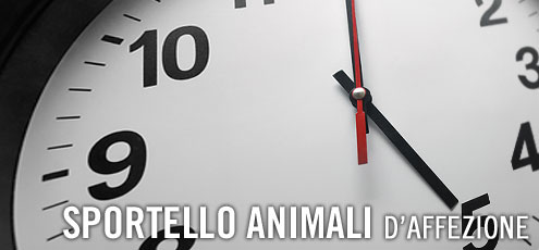 Quando rivolgersi allo sportello