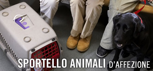 Trasportare animali Trasportare animali