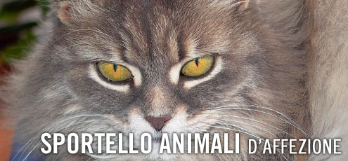 Vendita e toelettatura animali Vendita e toelettatura animali
