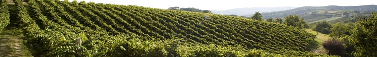 Azienda Sanitaria Locale CN2 Alba-Bra