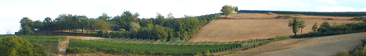 Azienda Sanitaria Locale CN2 Alba-Bra