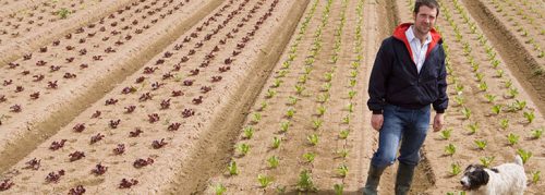 coltivare_in_sicurezza